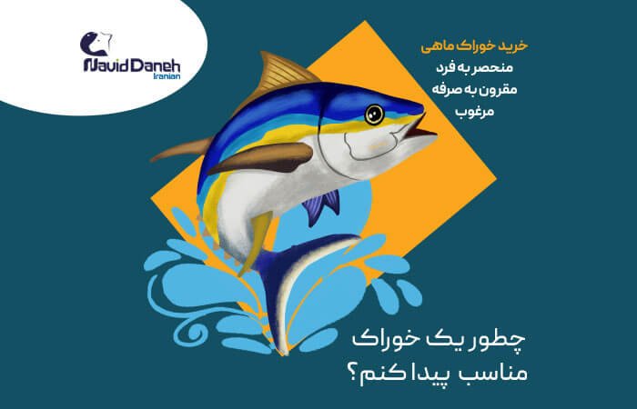خرید-خوراک-ماهی-مرغوب-و-با-کیفیت-نوید-دانه-ایرانیان