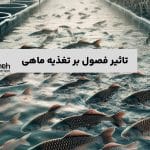 تغذیه ماهیان گرمابی در فصل زمستان چگونه است؟