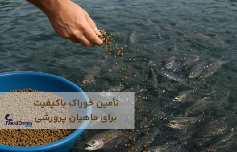 اهمیت خوراک باکیفیت برای ماهیان پرورشی
