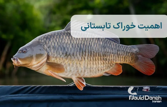 نقش جیره تابستانی در تغذیه ماهیان گرمابی