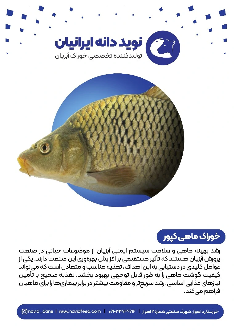 خوراک آبزیان