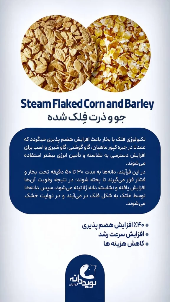 فلیک غلات نوید دانه